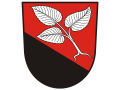 Staré město pod Landštejnem (http://staremestopl.cz)