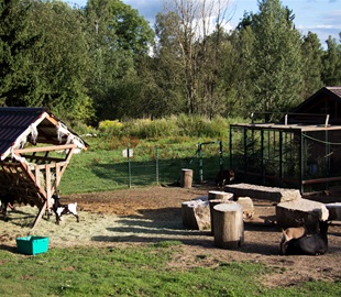 Domácí mini zoo, penzion Lada, Blato u Nové Bystřice