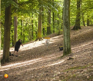 Discgolf