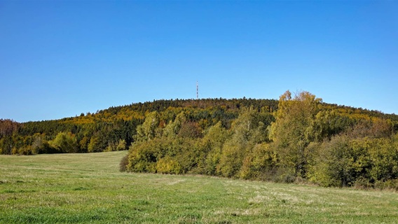 Javořice